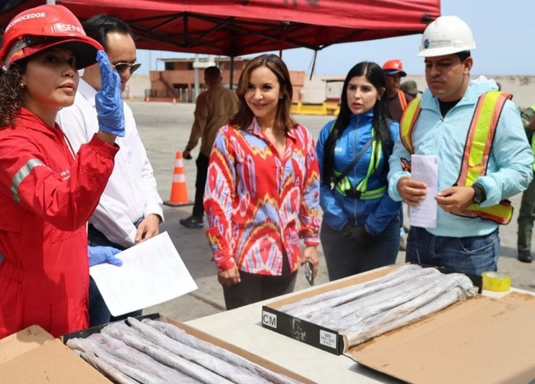 Permisos y licencias